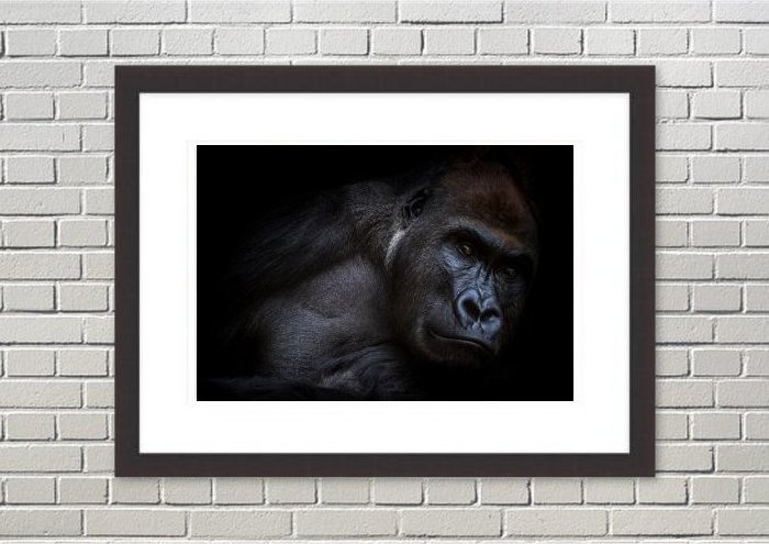 Framed Print